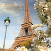 A close-up view of the Eiffel Tower with white blossoms in the foreground against a blue sky.