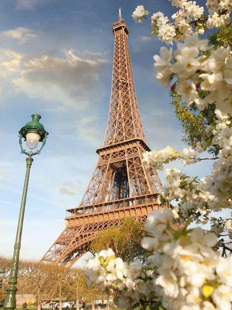 A close-up view of the Eiffel Tower with white blossoms in the foreground against a blue sky.