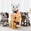 A collection of four plush cat toys in various colors and styles, including a light blue kitten, an orange kitten, and two gr