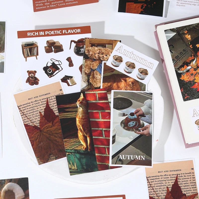 A variety pack of 50 pieces of four seasons scenery stickers featuring autumn themes and seasonal imagery.