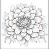 Intricate Mandala Coloring Book for Adult Stress Relief