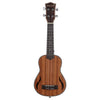 A brown acoustic guitar with a spruce top and dark wood sides, featuring a traditional soundhole and bridge.