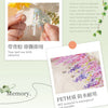 Fresh Vine-themed PET Decorative Tape Roll for Journaling & Crafting