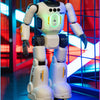 Interactive Gesture-Controlled Robot with Dance and Learning Modes
