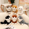 A collection of adorable sitting kitten plush toys in various colors including gray, orange, white, and black.