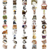 A collection of stickers featuring various cats and animals for laptops, scrapbooks, and other surfaces.