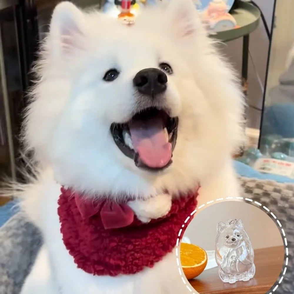 Transparent Dog Fur Keepsake Keychain