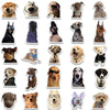 A collection of cute animal and cat stickers featuring various breeds, dogs, and cats.