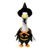 Halloween Porch Goose Costume Set with Witch Hat and Cape