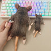 A hand holds a gray cat plush toy next to a keyboard with colorful backlighting.