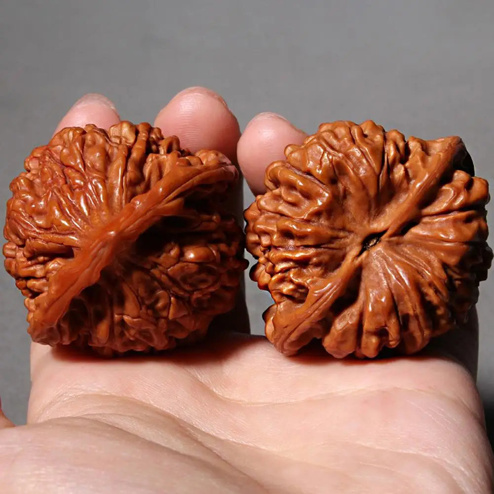 Hand-polished brown walnuts resting in a person's palm.
