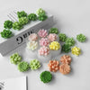3D Succulent Flower Silicone Mold Set for Baking & Crafts