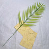 A vibrant green palm frond rests on a piece of yellow, textured paper.