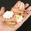 A set of insect larvae and eggs, including a striped larva, a golden larva, and white eggs, displayed on a hand.