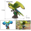 Realistic Bird Figurine Set – Educational PVC Models for Kids and Collectors