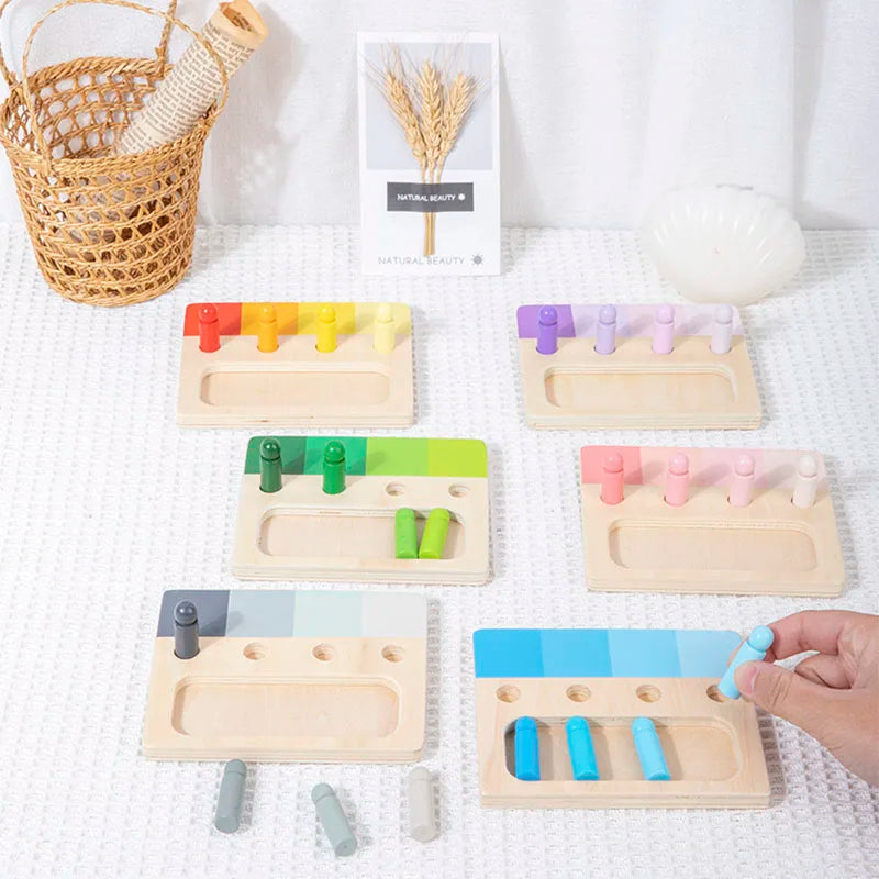 A wooden color matching Montessori toy set with various colored blocks and a natural beauty plant display.