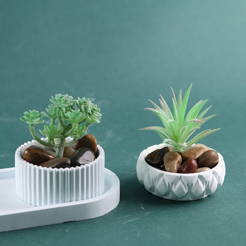 A small potted succulent plant in a white silicone mold with decorative stones on a light green surface.