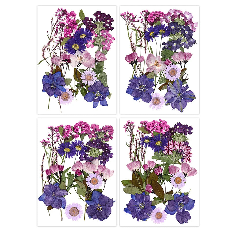 Four square images displaying pressed natural dried flowers in various shades of purple, pink, and blue.