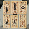 A set of ten inspirational oracle cards featuring mystical imagery and earthy tones arranged on a light gray surface.