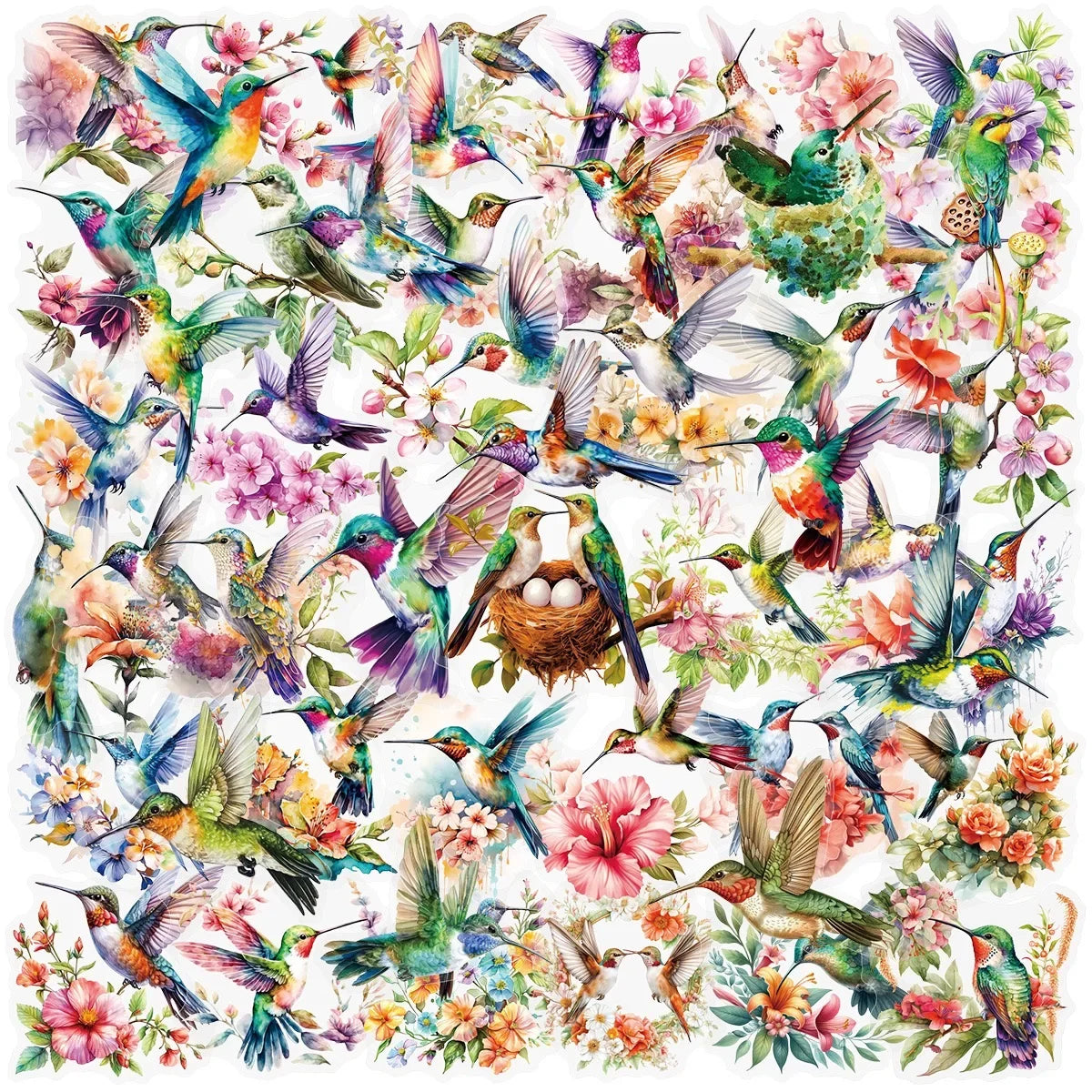 A vibrant watercolor illustration of various hummingbirds and colorful flowers.