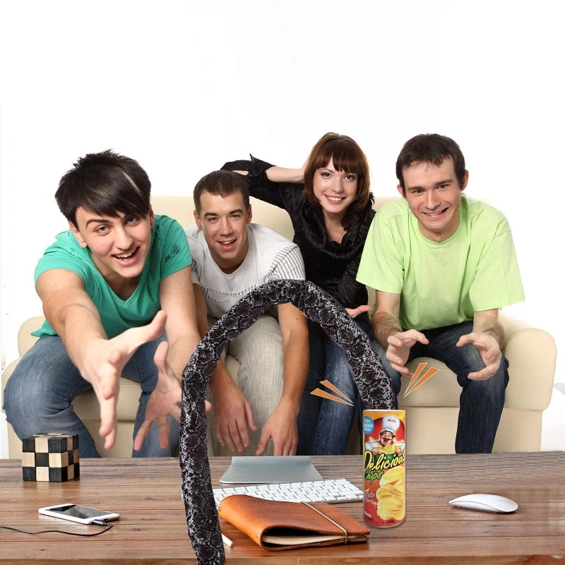 Surprise Prank Snake in a Potato Chip Can