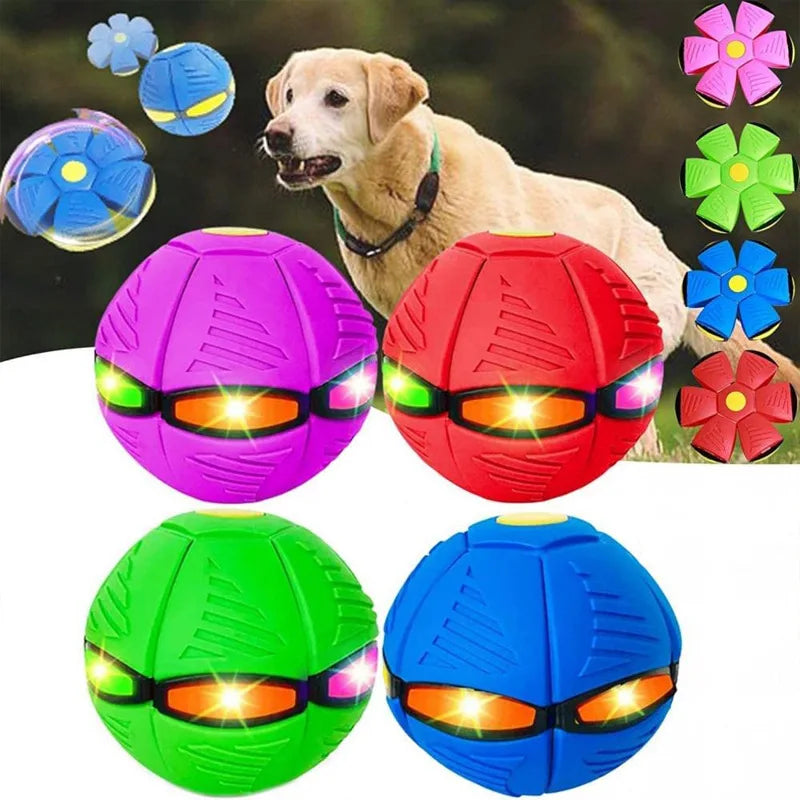 A collection of colorful, spherical flying UFO pet toys for dogs in pink, red, green, and blue.