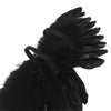 A close-up of black mini feather angel wings for dolls and crafts.