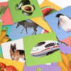High-Contrast Baby Flash Cards for Visual Development