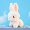 Adorable Mini Plush Bunny Set – Soft Stuffed Rabbits for Easter, Gifts & Decor