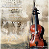 Professional Nickel-Silver Wound Violin String Set