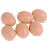 A group of six smooth, light brown plastic hen nesting eggs.