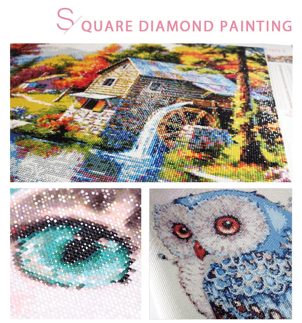 Diamond painting features a colorful landscape and close-up images of an eye and a bird.